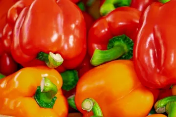 Kako blan&scaron;irati papriku? Za&scaron;to blani&scaron;irati papriku?