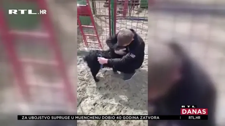 Emotivna snimka susreta: Sokol je nestao prije pet godina, a sad je nakon godina lutanja vraćen vlasniku