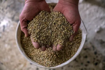 Britanci očekuju značajno smanjenje proizvodnje žitarica u Ukrajini: 'To će utjecati na povećanje inflacije'