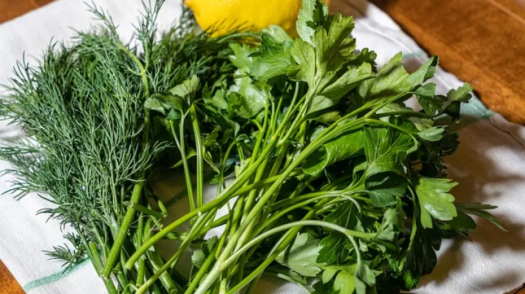 Umak od kopra odličan dodatak prilogu ili glavom jelu