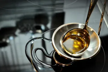 Palmino ulje za fritezu: Za&scaron;to je palmino ulje dobro za fritezu?