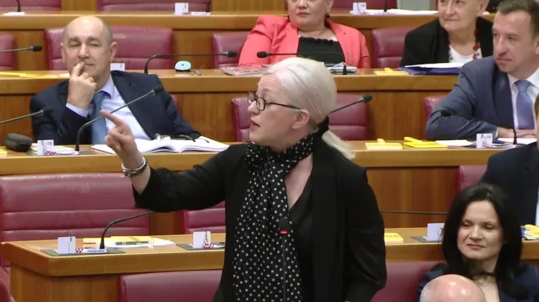 Ba&scaron; cirkus u Saboru pred glasanje o raspu&scaron;tanju: 'Kolegica u mene upire prstom. &Scaron;to bi se ona? Tukla!?'