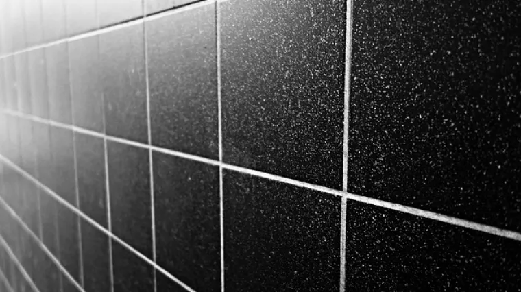 Kako odabrati boju fuge za pločice?