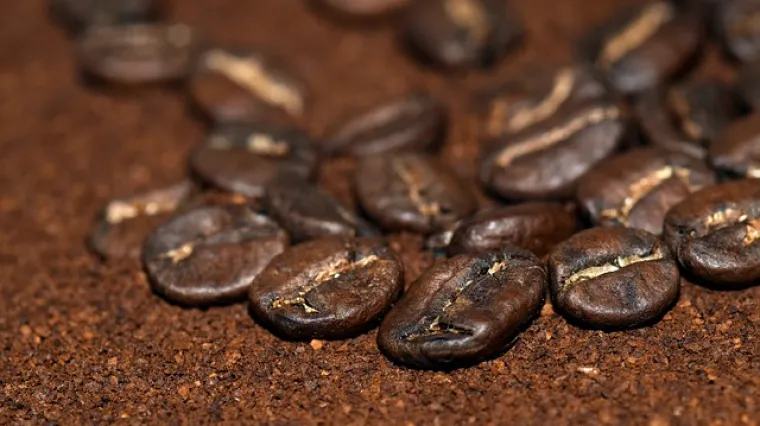 Kako djeluje kava protiv mrava?