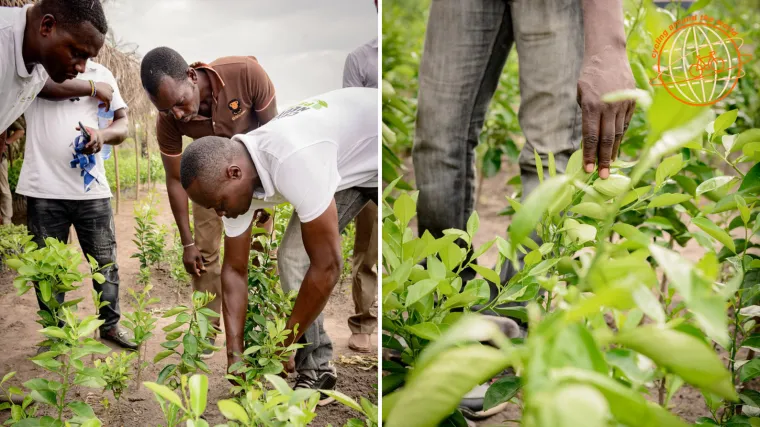 Gebrüder Weiss pokrenuo međunarodno događanje otvoreno javnosti usmjereno održivosti gospodarstva