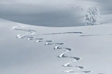 Koje su najpopularnije biatlon discipline?