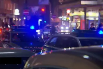 Ukrali 500 kg tešku trometarsku brončanu fontanu vrijednu 40.000 eura: 'Za to je trebalo 12 do 15 ljudi'