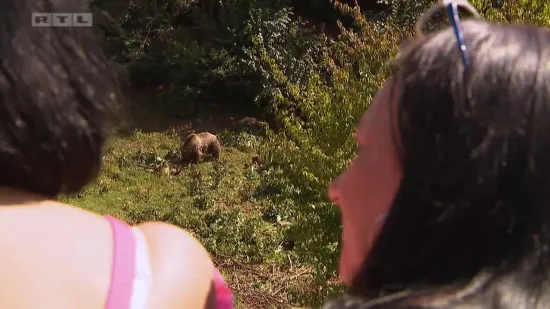 "Medo" Milan odveo djevojke na izlet u Kuterevo gledati medvjede