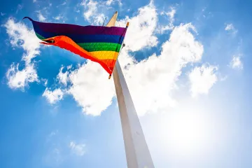 Muškarac (61) skinuo i oštetio LGBTQ zastavu, policija ga je uhitila