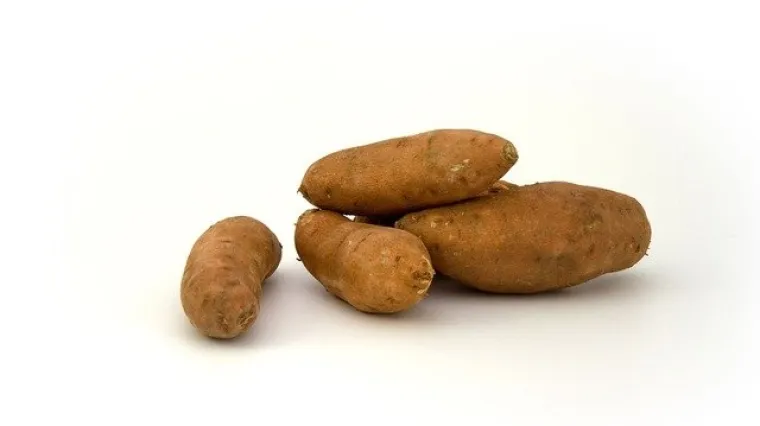 Kako na najbolji način čuvati batat?