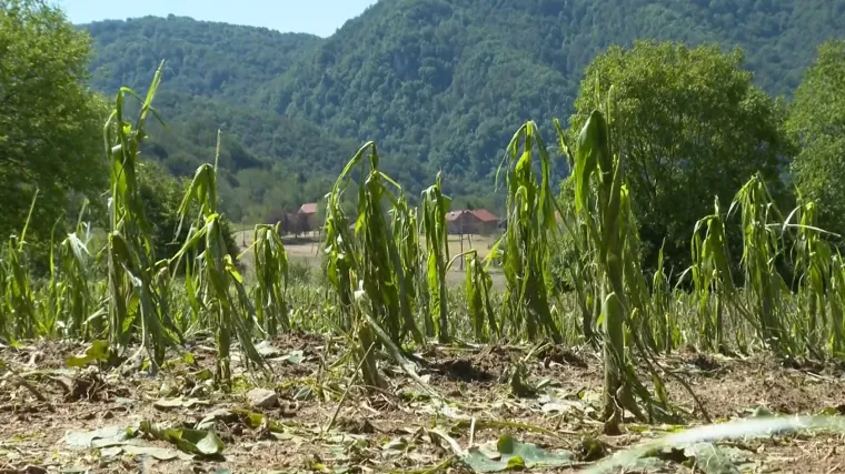 Zbrajaju se &scaron;tete tuče: 'Ministrica kaže da nema koristi od raketa. Poljoprivrednici kažu drugačije'