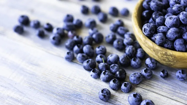 Koje sve vrste sadnica borovnica postoje?