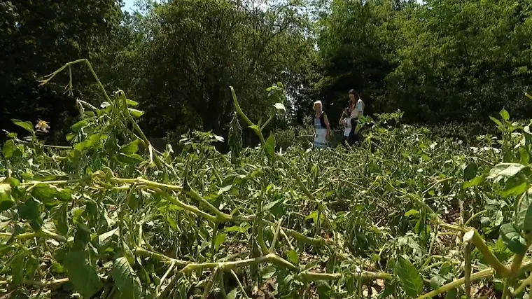 Tri nezapamćena nevremena u tri tjedna, Zagorci neutje&scaron;ni: 'Dok je bilo obrane, nikada nije bilo ovako'