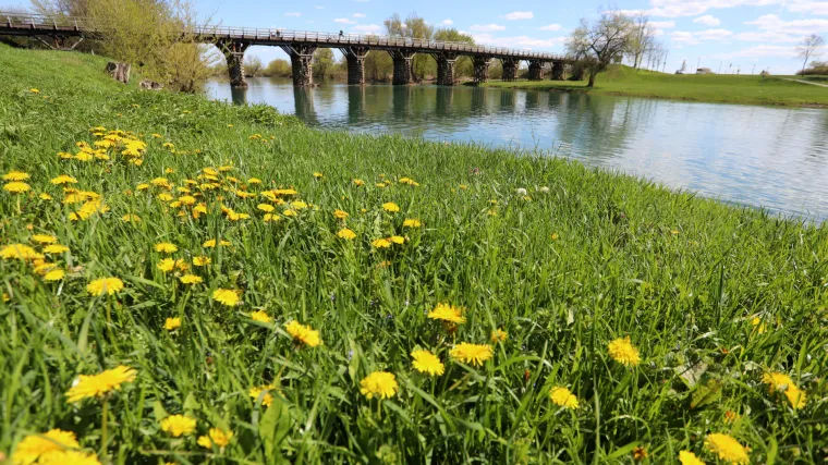 Pred nama su pravi ljetni, vedri dani! Bit će ne&scaron;to oblaka, no oni neće pokvariti dojam sunčanog vremena