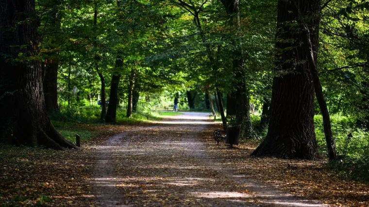 Na radnika (43) pala cigla s visine od 15,5 metara, preminuo je u bolnici