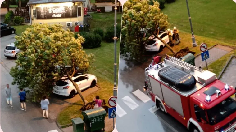 Usred grmljavinskog nevremena u samom centru Karlovca vjetar čak čupao stabla