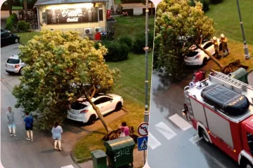 Usred grmljavinskog nevremena u samom centru Karlovca vjetar čak čupao stabla