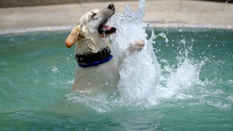 Pred nama je tjedan iznadprosječnih temperatura: Termometar danas ide i iznad 33&deg;C
