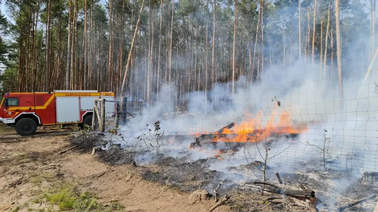 &Scaron;umski požar kod Berlina nekontrolirano divlja od petka, evakuiraju rubne dijelove obližnjeg gradića