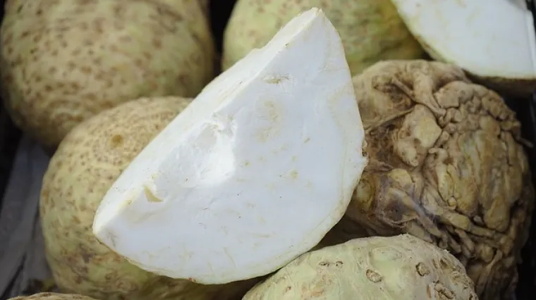 Koje je optimalno vrijeme kuhanja celera?