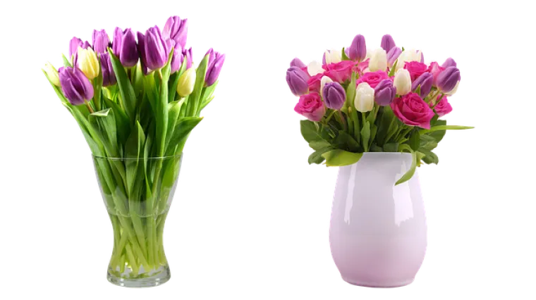 Koje cvijeće koje dugo traje u vazi?