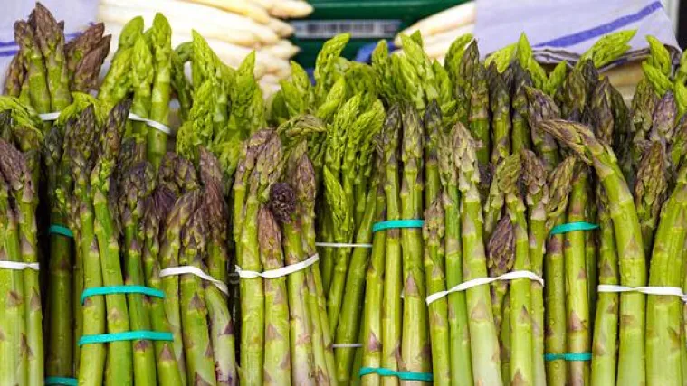 Kada je pravo vrijeme za branje &scaron;paroga?