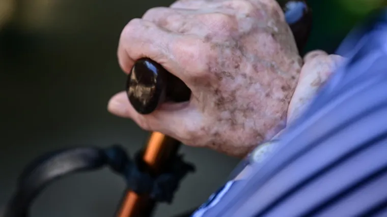 HZMO: U odnosu na lani porastao broj osiguranika, boom u nekim djelatnostima