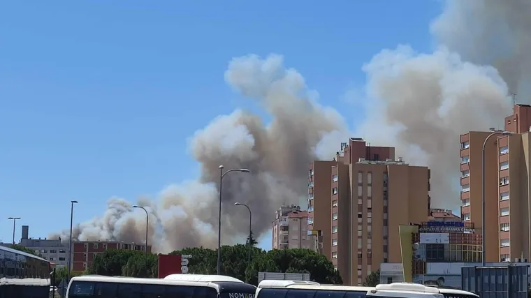 VIDEO/FOTO Opet je izbio veliki požar na području Pule: Ljudi se boje da bi mogao doći do kuća