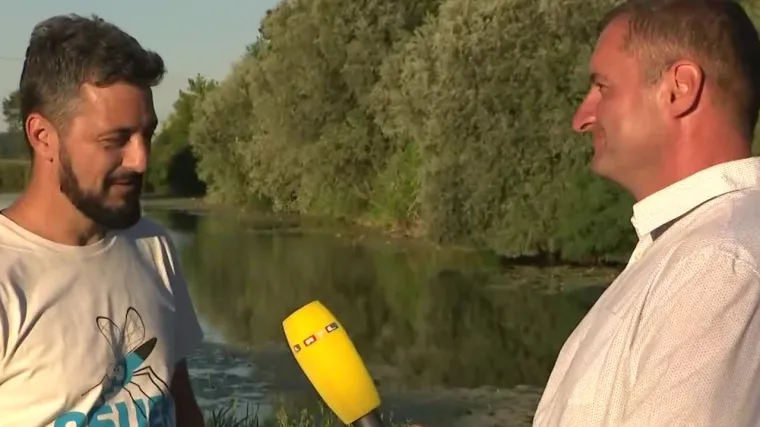 Uvođenje sterilnih komaraca nova je metoda borbe protiv ovih kukaca: 'Cilj je da daju neplodno potomstvo'