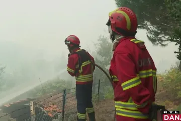 Mediteranom haraju požari. Italija evakuira turiste, vatra guta Francusku, u Portugalu poginuo pilot kanadera