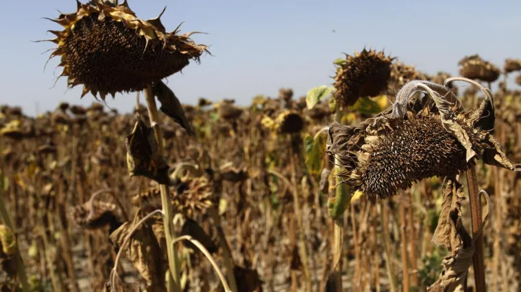 Nije &scaron;ala, ulicama Los Angelesa patrolira 'vodena policija': Za prvi prekr&scaron;aj je upozorenje, ali tko ponovi...