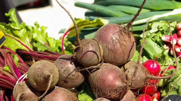 Salata od kisele repe kao prilog