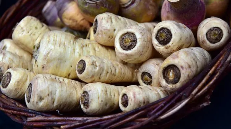 Koji su dobri susjedi pastrnjaka?