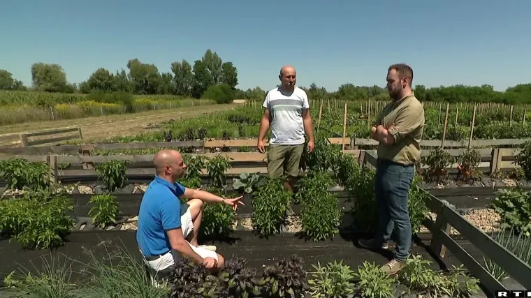 Rimac za RTL otkrio za&scaron;to ulaže u digitalne eko-vrtove. Gruntek postaje hit, vlasnicima u sezoni dobiju i 10 kg povrća