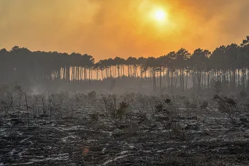 Nakon 10 dana pakla, konačno se smiruju požarišta u Francuskoj i Španjolskoj