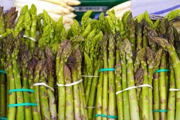 Kada je sezona šparoga?