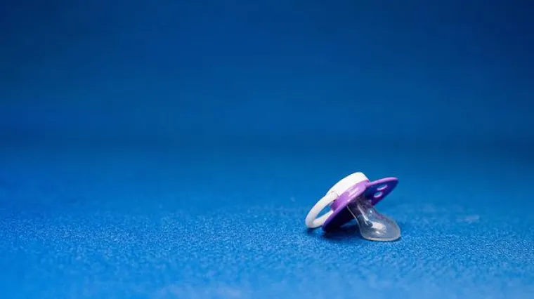 Koliko je često potrebno sterilizirati dude varalice? Koji je postupak sterilizacije duda u loncu?