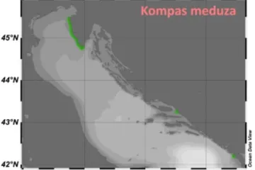 Gdje se sve na Jadranu nalaze koje vrste meduza? Proširile su se daleko izvan Istre, pokazuju nove karte