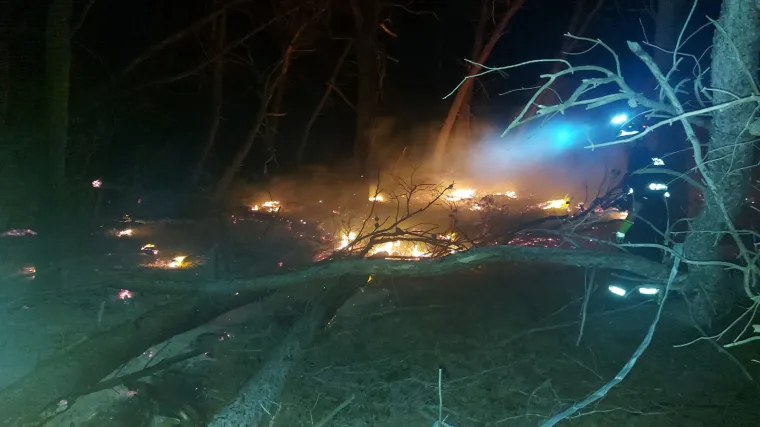 Nizozemska obitelj obranila od požara otočić Mladine u PP-u Lastovsko otočje nakon udara groma