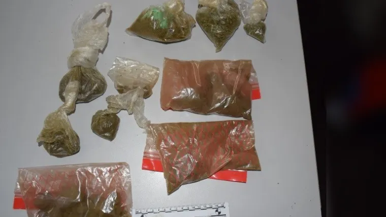 'Dobro' opskrbljen Zagrepčanin. U stanu držao kala&scaron;njikov, lovačku pu&scaron;ku, marihuanu, kokain, LSD... Uhićen je