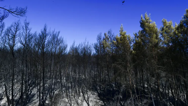 Francuska u&scaron;la u treći toplinski val ovog ljeta: Požar progutao je 250 hektara, ozlijeđena su 4 vatrogasaca