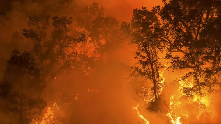Nakon svibnja, ove godine je i srpanj najvrući u Portugalu otkad je mjerenja, temperatura i&scaron;la do 47&deg;C