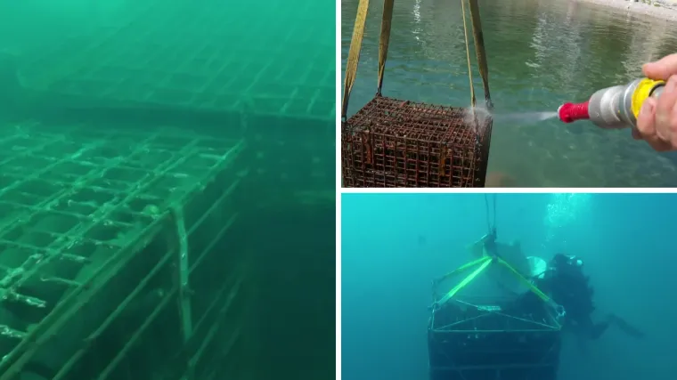 U Iki i ove godine poseban morski ulov: Iz mora izvučeno četiri tisuće butelja vina