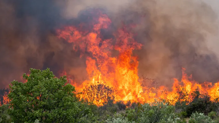 Biv&scaron;i dobrovoljni vatrogasac (33) priznao da je podmetnuo požar u Francuskoj, može dobiti 10 godina zatvora