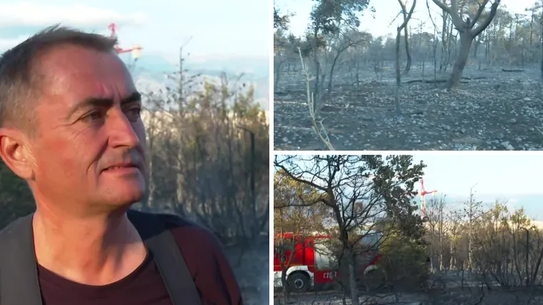 Zapovjednik vatrogasaca o požaru na Zrću: 'Situacija je pod kontrolom. Pojačala je bura pa smo sve napetiji'