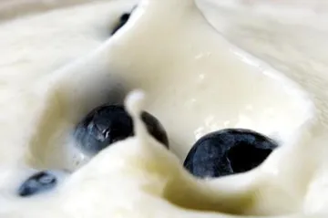 Kako se priprema kefir gljiva u vodi?