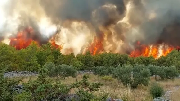 VIDEO Velik požar u Dalmaciji, 51 vatrogasac je na terenu i 4 kanadera