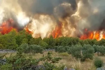 VIDEO Velik požar u Dalmaciji, 51 vatrogasac je na terenu i 4 kanadera