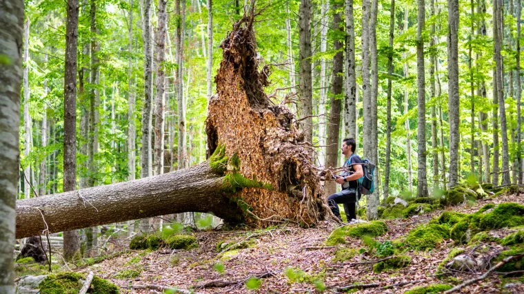 Snažne oluje haraju sjeverom Italije: Na muškarca i ženu palo stablo, preminuli su