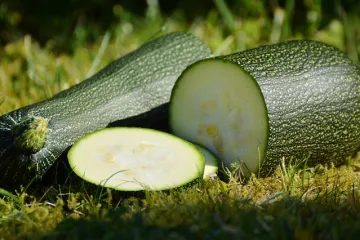 Kako se priprema salata od mladih tikvica?